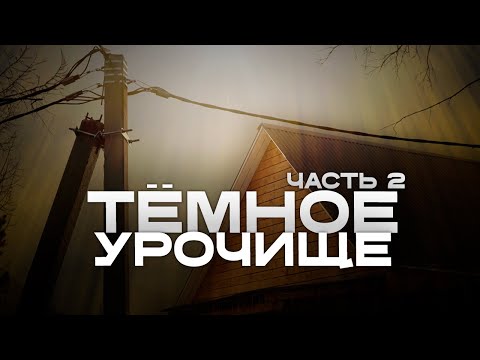 Видео: «Десять сосен до света»