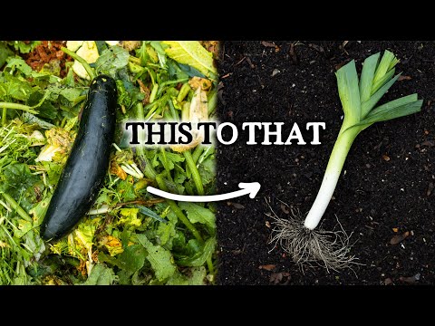 Видео: Искусство сбора питательных веществ