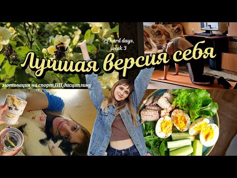 Видео: Влог:становлюсь лучшей версией себя✨️🧘🏻‍♀️/мотивация на спорт,пп,дисциплину//пп рецепты,уют
