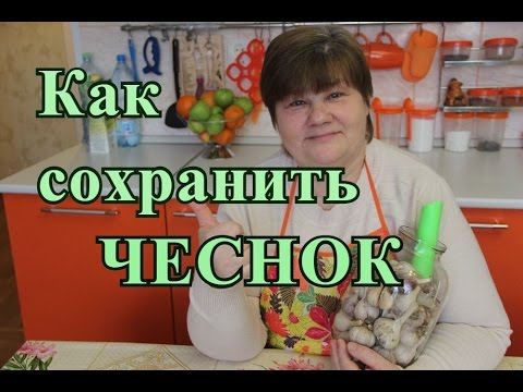 Видео: Хранение чеснока. Чеснок будто только с грядки.