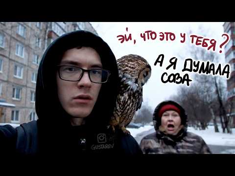 Видео: ХАЙПОВАЯ нейронка VEO 3 опрокинула всех! Она творит магию!