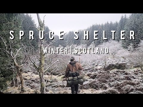 Видео: Еловый приют | Минимальный кемпинг | Шотландия