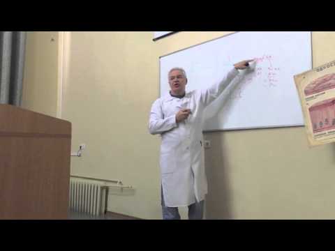 Видео: Лекция по гистологии ДонНМУ. Проф Баринов Э. Ф.