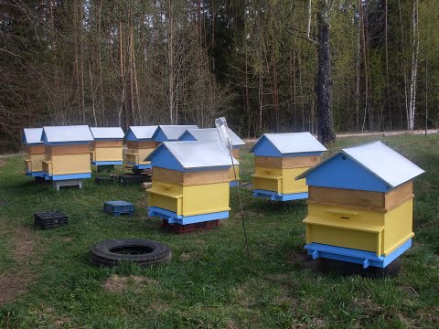 Видео: Какой улей взять ? Окончание. Подгон на канале "Деревенский блокнот" что дали  Хутор LV