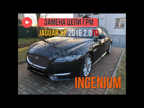 Видео: Jaguar XF 2016 2.0 TD Ingenium замена комплекта цепи ГРМ