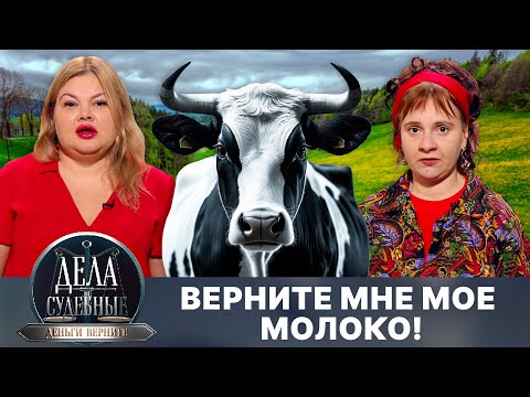 Видео: Дела судебные с Дмитрием Агрисом. Деньги верните! Эфир от 04.03.25