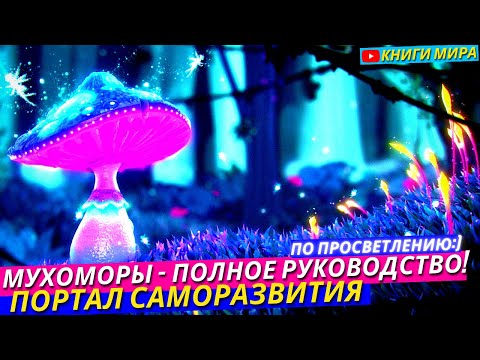 Видео: Возможно Ли Просветление от Грибов Мухоморов?! Самый Эпичный Отчет о Мухоморном Трипе! Полный Обзор!