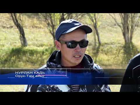 Видео: Алыскы аймактын артка тарткан көйгөйлөрү. Орук-Там айылы