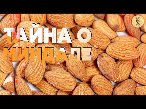 Видео: Подводные камни МИНДАЛЯ