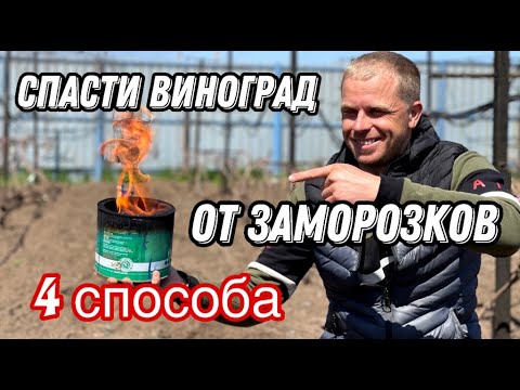 Видео: Спасение Виноградника от заморозков!!! Просто и дёшево - 4 способа.