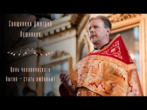Видео: Священник Дмитрий Лушников. Цель человеческого бытия — стать любовью!