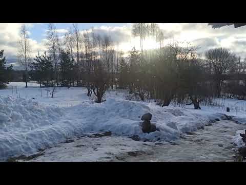 Видео: Деревня локальная декабрьская весна ВлёсноТВ