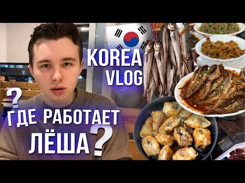 Видео: В Корее есть мошенники? Где работает Леша/Старый рынок около нашего дома/Еда, еда, еда/KOREA VLOG