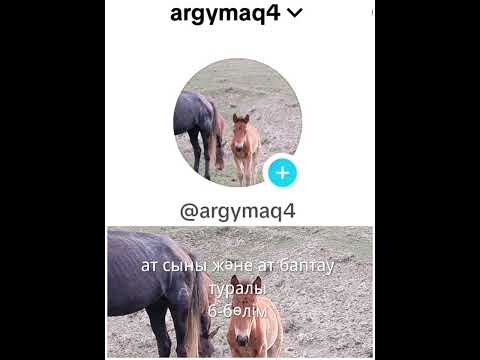 Видео: жылқы ат сыны ат баптау жылқы сыны жұйрік жылқы