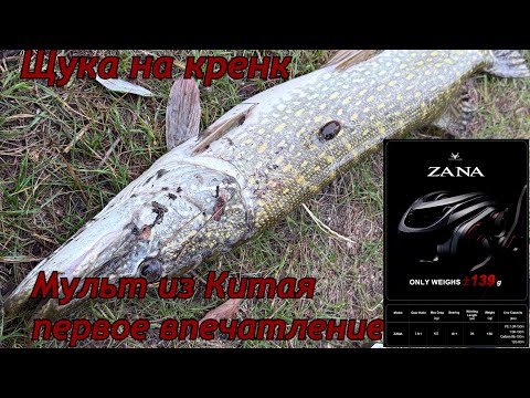 Видео: Щука на кренк. Мульт  Purelure Zana