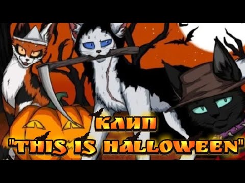 Видео: Коты-воители/Клип/"This is Halloween"/Даниэлла/ВСЕМ СЧАСТЛИВОГО ХЕЛЛОУИНА!!!🎃