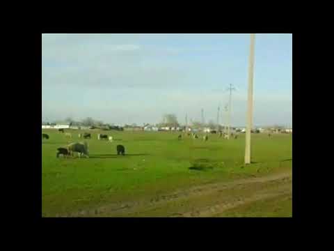 Видео: Тау ауылы Жанибек