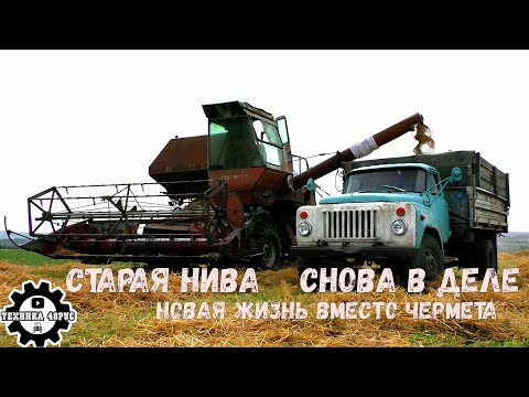 Видео: Старая Нива снова в строю. Не в металл, а в поле Уборочная - 2022