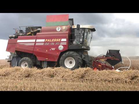 Видео: битва за урожай: PALESSE, John Deere и GOMSELMASH в борьбе за тритикале! 🌾💪