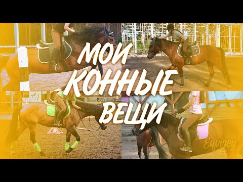 Видео: МОИ КОННЫЕ ВЕЩИ | ИНФО | GoPro