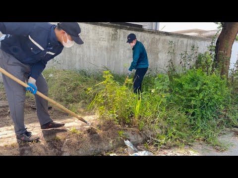 Видео: Очистите НЕУХОДЯЩИЙ тротуар — преобразите ТРАВЯНОЙ ЛЕС на тротуаре