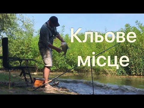 Видео: ЛЯЩ на фідер!! Мальовнича річка. Уха на природі