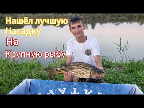 Видео: Нашёл лучшую насадку на КРУПНУЮ РЫБУ. И наловил много рыбы!!!