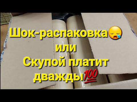 Видео: Не ожидала такого..Нет слов😔