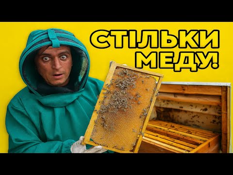 Видео: Море меду в одному вулику! Перевірив пасіку...