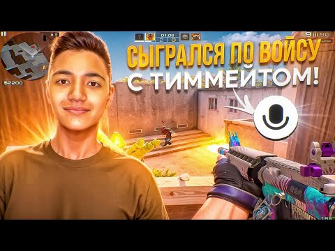 Видео: СЫГРАЛСЯ ПО ВОЙСУ С ТИММЕЙТОМ🎙️📞 | Демка