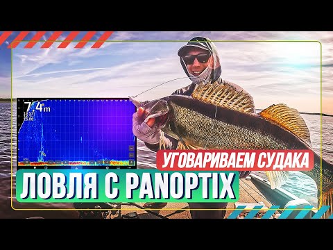 Видео: Ловля с Panoptix. уговариваем судака. Рыбалка с #OnlySpin