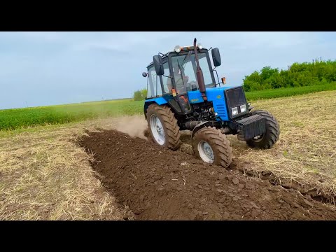 Видео: Таку оранку стидно і людям показувать 🥲