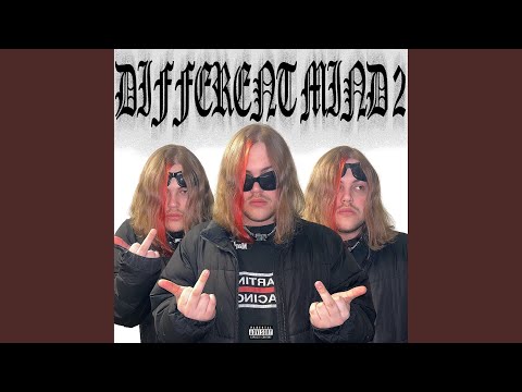 Видео: кисы - котики