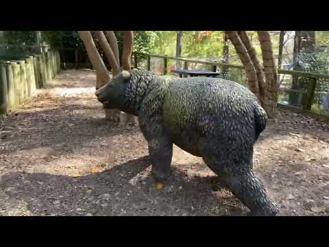 Видео: Часть вторая нашего видео о зоопарке@allenbrackett