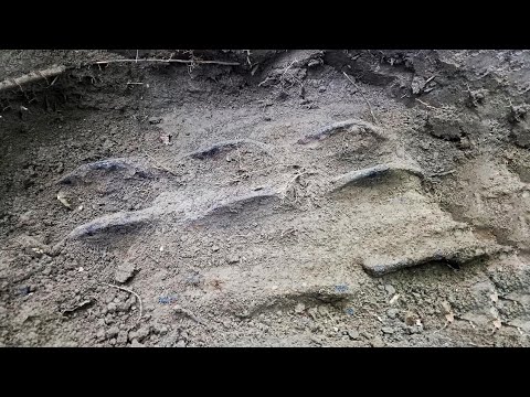 Видео: Металлокоп в нехоженной деревне!!!