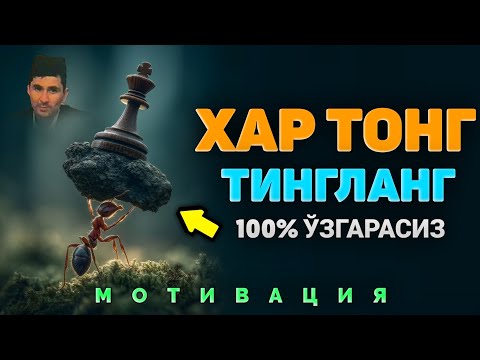 Видео: Мотивация! Хар тонг 5:00 да эшитинг! |Абдуллох Домла |Abdulloh Domla  #ilmnuri #abdullohdomla #namoz