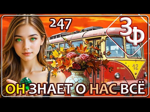 Видео: 247 ОН знает о нас всё | Истории наших зрителей