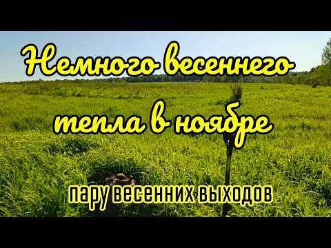 Видео: Пару весенних выходов.