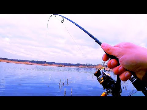 Видео: А ТЫ ПОПРОБУЙ ПОЙМАТЬ в БЕЗКЛЕВИЕ!? Запахло весной 2024!!!