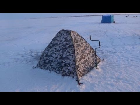 Видео: Цимла . Зимняя рыбалка.Январь 2021.
