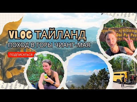 Видео: Поход в горы Чиангмая, север Тайланда