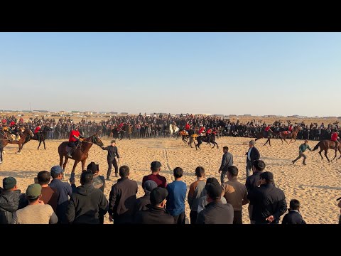 Видео: 11-15-2025 Ат шабыс той Бахыт жби