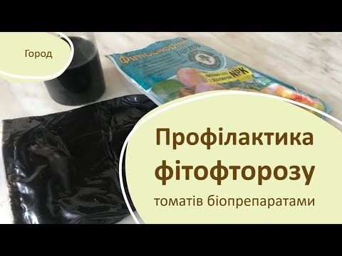 Видео: Профілактика фітофторозу томатів