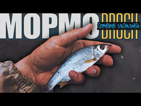 Видео: РЫБАЛКА С МОРМЫШКОЙ НА КРАСИВОЙ РЕКЕ  ► МОРМЫШИНГ
