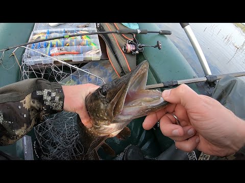 Видео: Рыбалка на спиннинг 22.08.2021. Часть 1. Шапсугское водохранилище. Моя первая крупная щука (2,2 кг).
