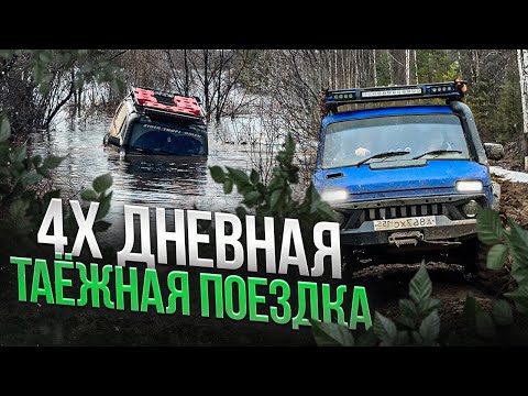 Видео: 4ёх ДНЕВНАЯ ТАЕЖНАЯ ЭКСПЕДИЦИЯ