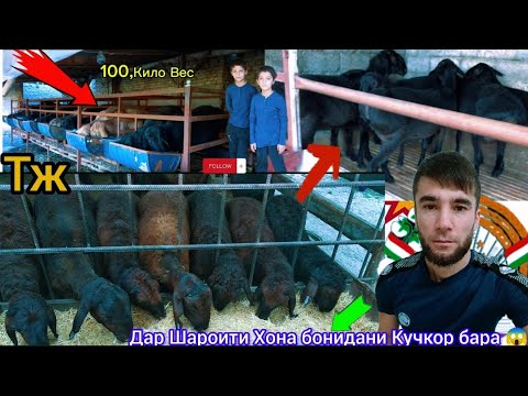 Видео: #992908114947☎️❓Тарзи⚡бони 💥кадан 🔥Дар📸Шароити Хона📢Қучқорбараҳоя👉Бинен 👇Ҳама💥 😱Маълумот 😱Ҳаст🙀