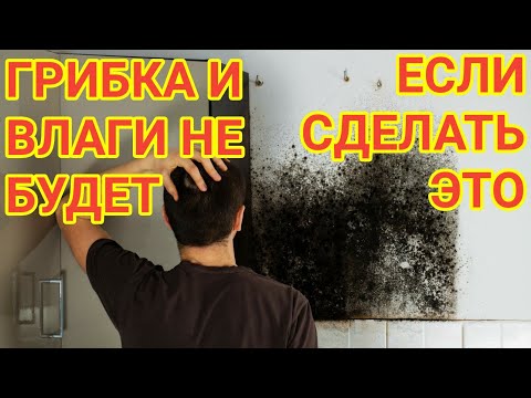 Видео: Что Делать если Стены Плачут в Новостройке