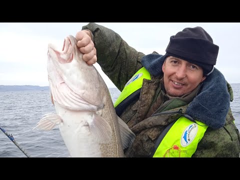 Видео: ТЕРИБЕРКА. УДАЧНОЕ ЗАКРЫТИЕ СЕЗОНА МОРСКОЙ РЫБАЛКИ. "CLOSING OF THE SEA FISHING SEASON."