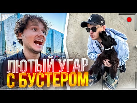 Видео: ХАЗЯЕВА НАВОДЯТ СУЕТУ С БУСТЕРОМ И ЛИМБОЙ | НОВЫЕ РЕД ФЛАГИ ОТ ЛИМБЫ и НАПАДЕНИЕ БОБКИ НА БУСТЕР😱